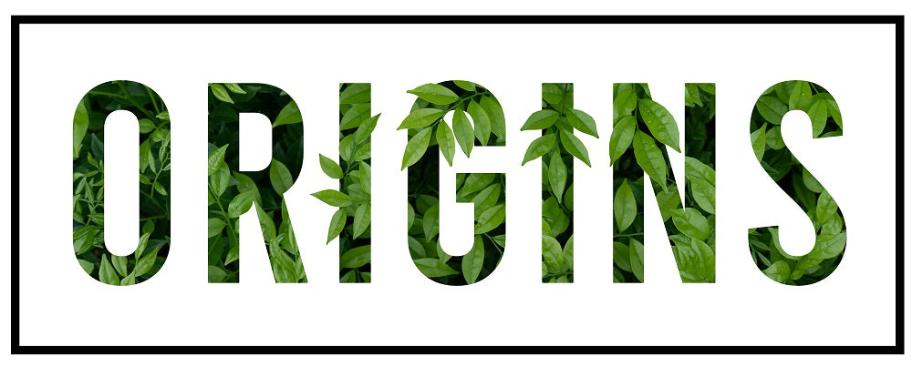 Origins V6